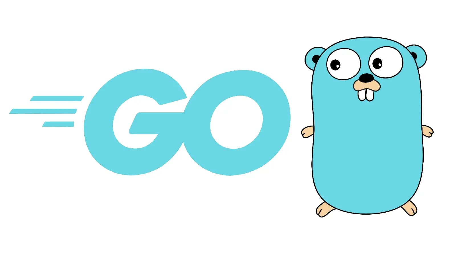 A Quirk Regarding Type Assertions and Switch Statements in Go